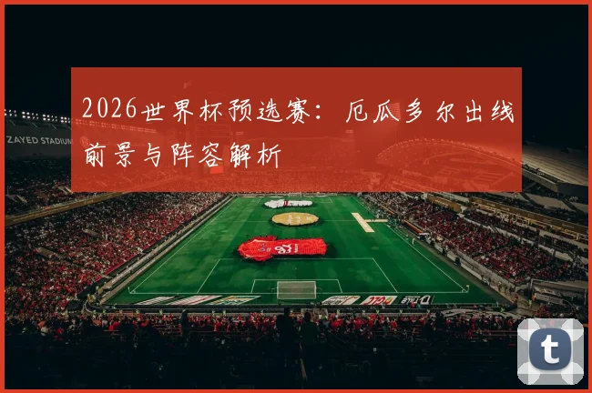 2026世界杯预选赛：厄瓜多尔出线前景与阵容解析